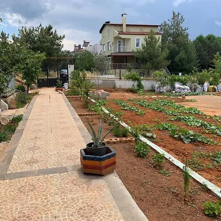 Sevinc * Ayvalı